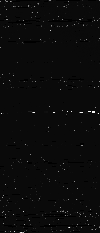 MTVZA-6.png